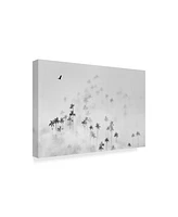 Alexey Malashin Cocora Valley Canvas Art - 15" x 20"
