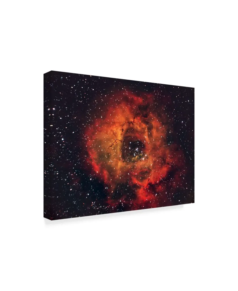 Andrea Auf Dem The Rose in The Sky Canvas Art