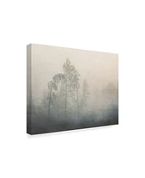 Asmund Kvarnstrom Tree Fog Canvas Art