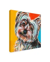 Carolee Vitaletti Sweet Yorkie Ii Canvas Art - 15" x 20"