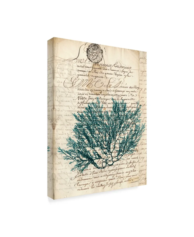 Vision Studio Vintage Teal Seaweed I Canvas Art