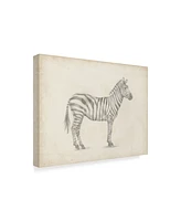 Ethan Harper Zebra Sketch Canvas Art - 37" x 49"