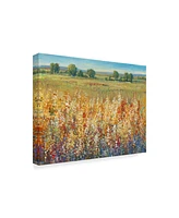 Tim Otoole Gold and Red Field I Canvas Art - 20" x 25"