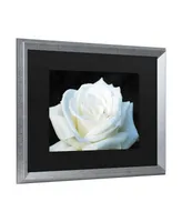 Kurt Shaffer White Rose Ii Matted Framed Art - 27" x 33"