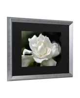 Kurt Shaffer Lovely Gardenia Matted Framed Art