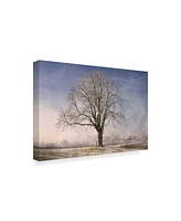 Philippe Sainte-Laudy The Tree Fairy Tale Canvas Art - 37" x 49"