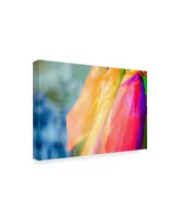 Pixie Pics Colorful Fashion Scarf Canvas Art - 15" x 20"