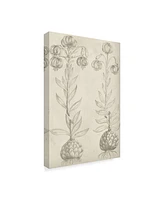 Vision Studio Fresco Floral Beige Ii Canvas Art - 37" x 49"