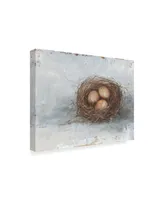 Ethan Harper Rustic Bird Nest Ii Canvas Art