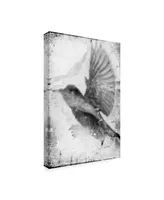 Ingrid Blixt B&W Flight Ii Canvas Art - 15" x 20"