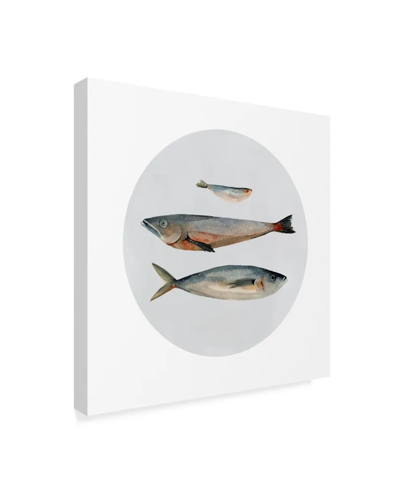 Emma Scarvey Three Fish Ii Canvas Art - 15" x 20"