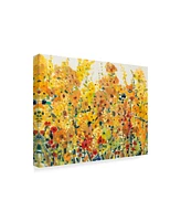 Tim Otoole Golden Summer Garden I Canvas Art