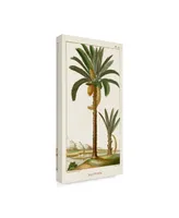 Turpin Turpin Exotic Palms Iv Canvas Art