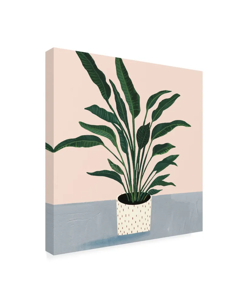 Victoria Borges Houseplant Iv Canvas Art