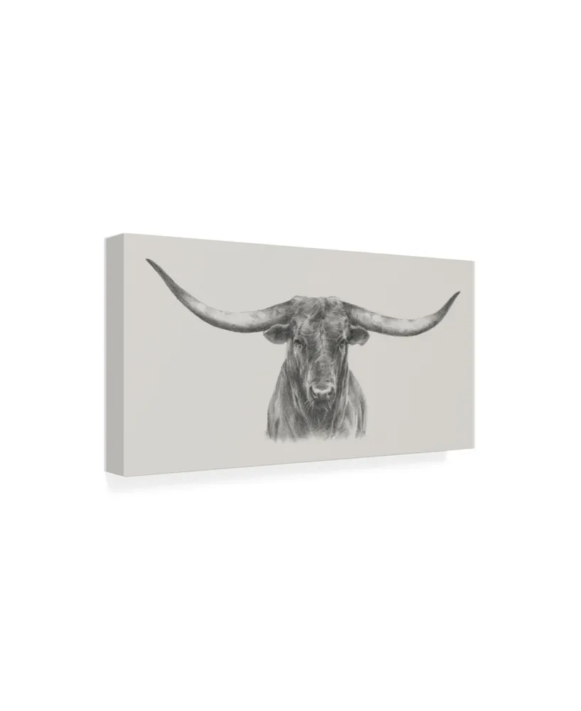 Ethan Harper Longhorn Bull Canvas Art