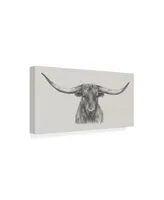 Ethan Harper Longhorn Bull Canvas Art