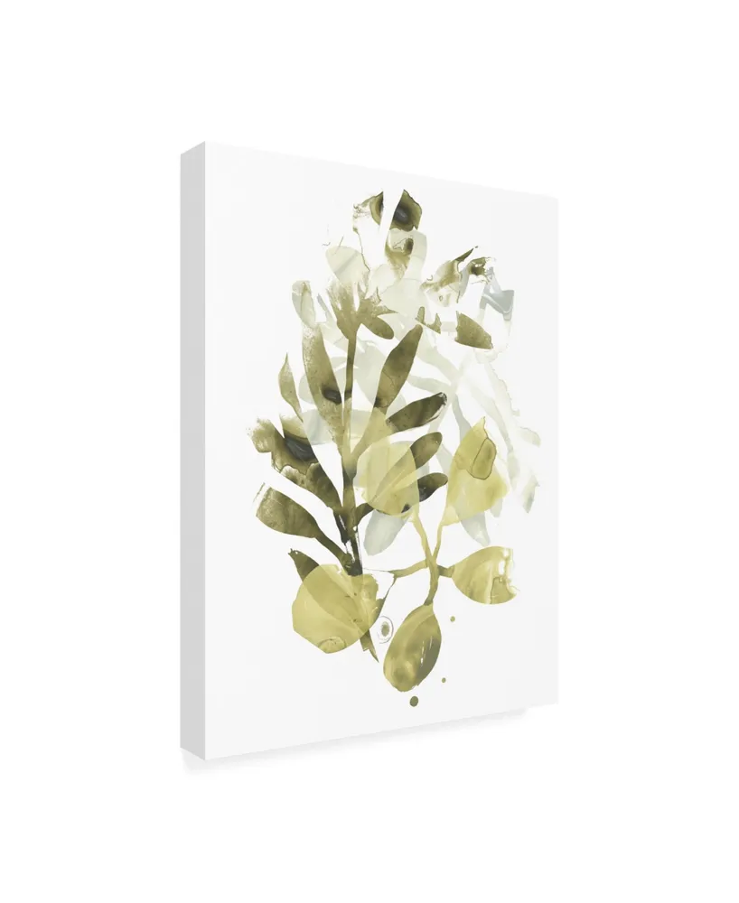 June Erica Vess Lichen and Leaves Ii Canvas Art