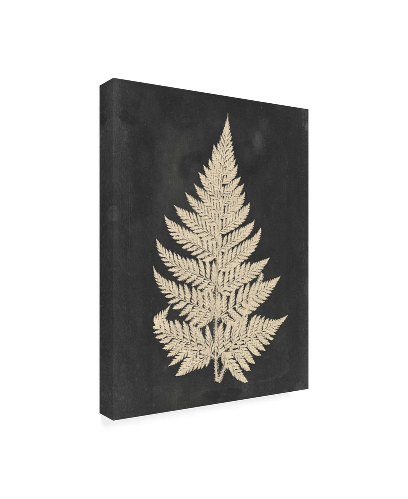 Vision Studio Linen Fern I Canvas Art - 20" x 25"