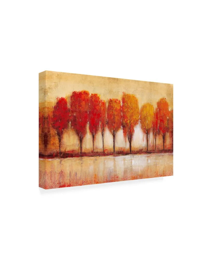 Tim Otoole Autumn Waters Edge Canvas Art