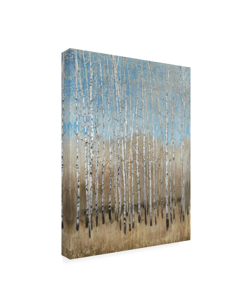 Tim Otoole Dusty Blue Birches I Canvas Art