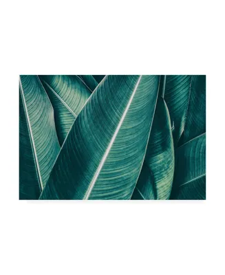 PhotoINC Studio Banana Green Leaves Canvas Art