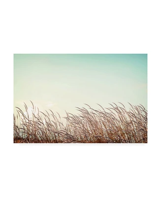 PhotoINC Studio Retro Grass Canvas Art - 15.5" x 21"