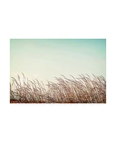 PhotoINC Studio Retro Grass Canvas Art - 15.5" x 21"