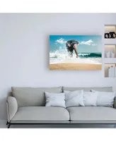 PhotoINC Studio Elephant on the Beach Canvas Art - 15.5" x 21"