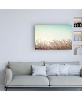 PhotoINC Studio Retro Grass Canvas Art - 15.5" x 21"