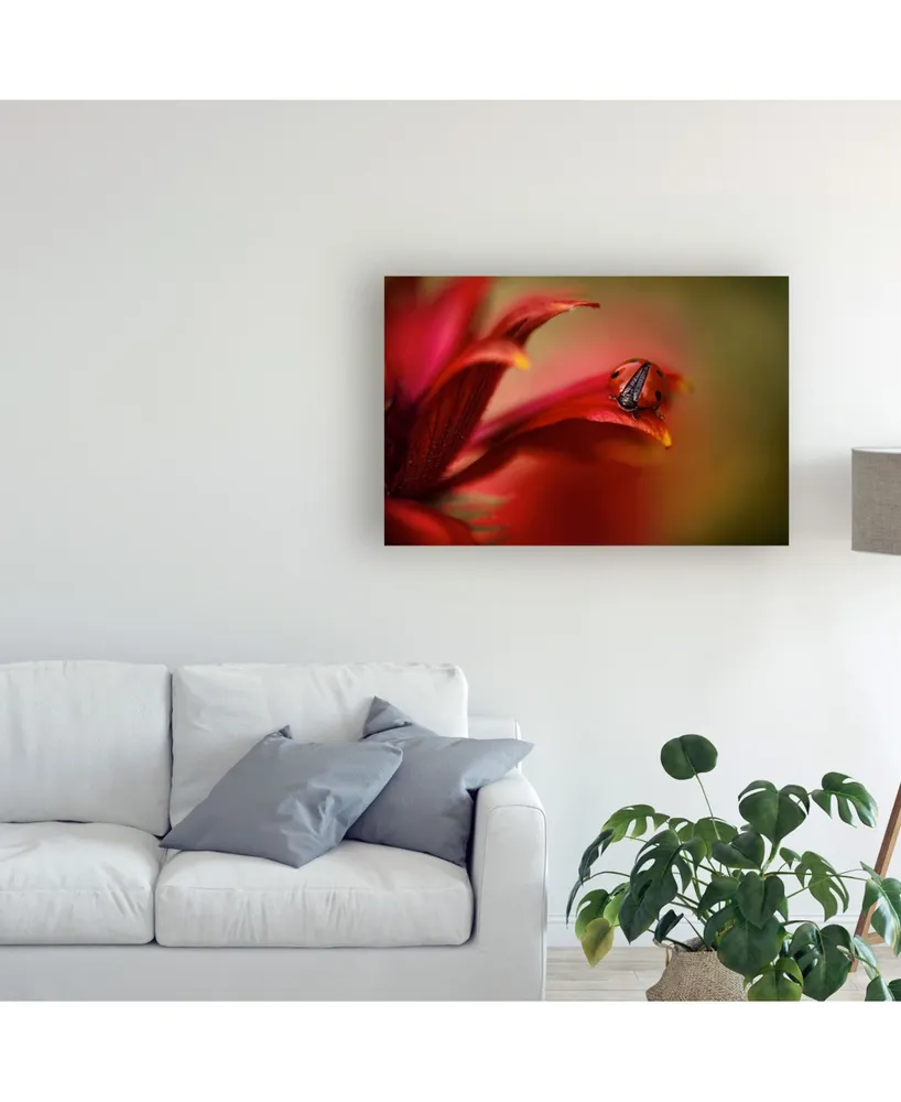 Mandy Disher Simply Red Canvas Art