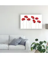 Mandy Disher Ladybird Poppies Canvas Art - 37" x 49"