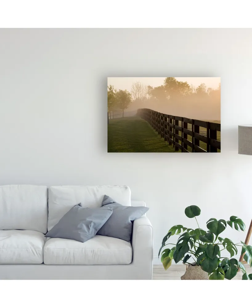 Monte Nagler Morning Mist and Fence Kentucky Canvas Art - 20" x 25"