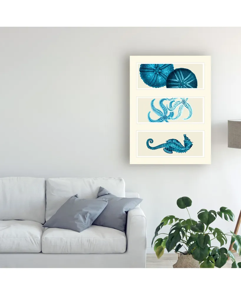 Fab Funky Three Panel Print Sea Urchin Starfish and Seahorse in Blue Canvas Art