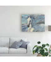 Albena Hristova Poseidon White Horse Canvas Art