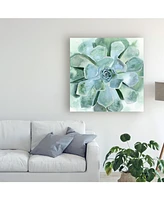 Victoria Borges Verdant Succulent Iii Canvas Art - 19.5" x 26"