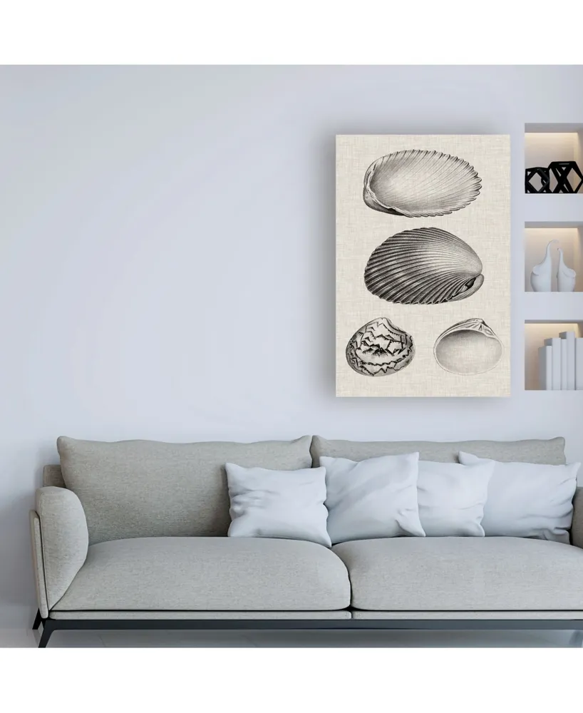 Vision Studio Charcoal & Linen Shells Viii Canvas Art