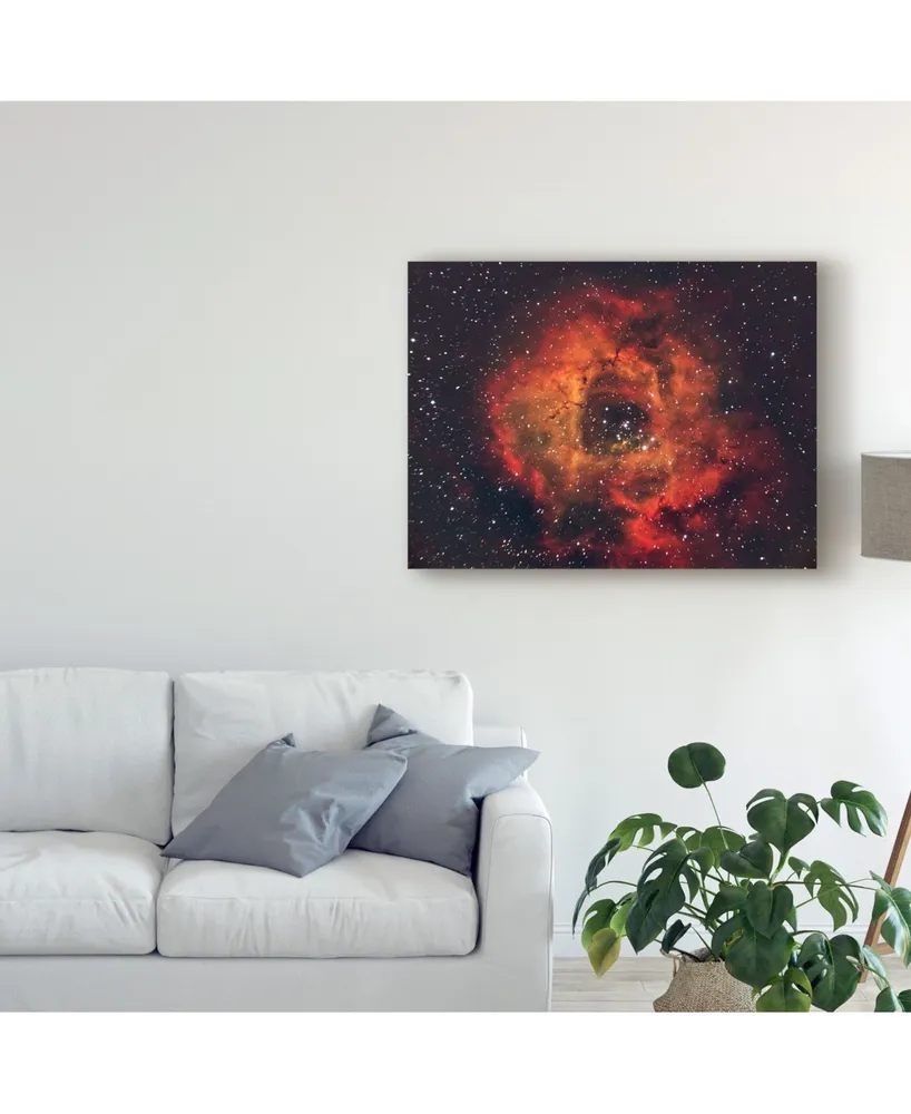 Andrea Auf Dem The Rose in The Sky Canvas Art