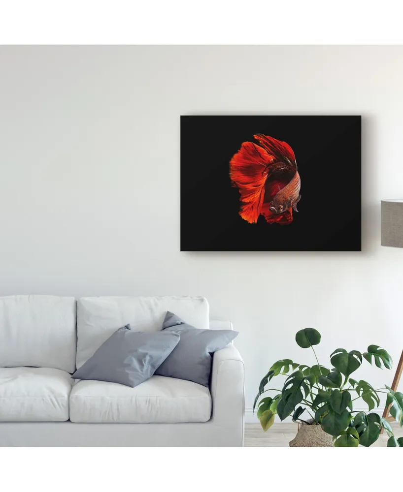 Andi Halil The Red Canvas Art