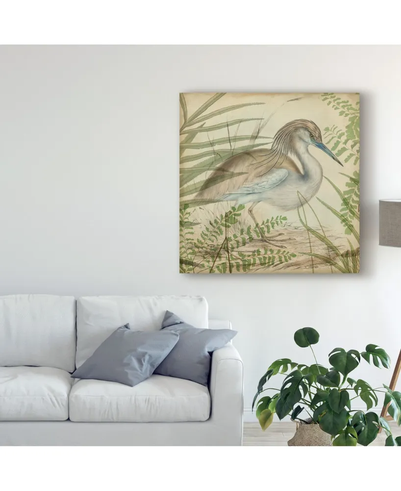 Vision Studio Heron and Ferns Ii Canvas Art