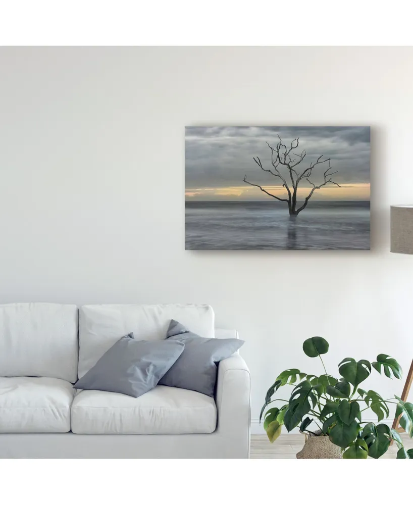 Danny Head Gray Skies Canvas Art