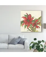 Chris Paschke Poinsettia Ii Canvas Art - 15" x 20"