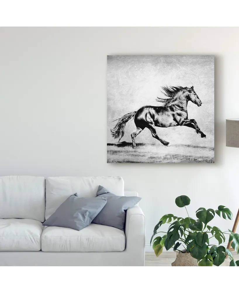 Ph Burchett Black and White Horses Ii Canvas Art