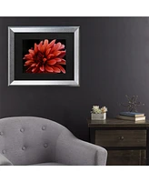 Kurt Shaffer Red Dhalia Matted Framed Art