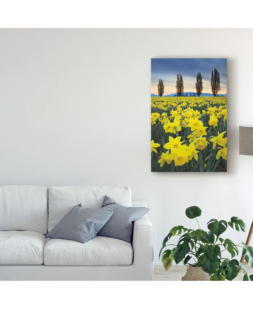 Alan Majchrowicz Skagit Valley Daffodils I Canvas Art - 37" x 49"