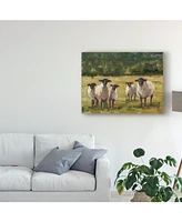 Ethan Harper Sheep Family I Canvas Art - 37" x 49"