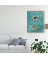 Alicia Ludwig Twin Starfish I Canvas Art - 20" x 25"