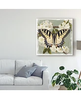 Victoria Borges Butterfly Branch Ii Canvas Art - 15" x 20"