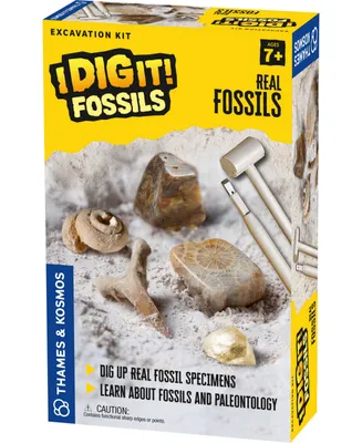 Thames & Kosmos I Dig It! Fossils - Real Fossils Excavation Kit