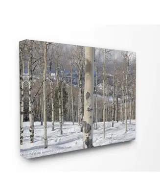 Stupell Industries Winter Birches Photography Canvas Wall Art
