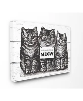 Stupell Industries You Had Me at Meow Cats Canvas Wall Art, 16" x 20"